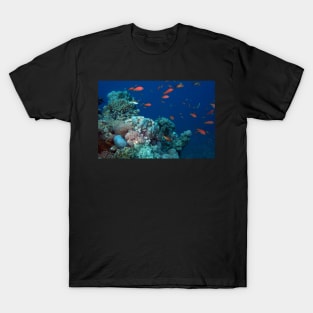 marine and aquatic life T-Shirt